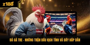 Đá Gà Tre - Những Trận Đấu Kịch Tính Và Đầy Hấp Dẫn
