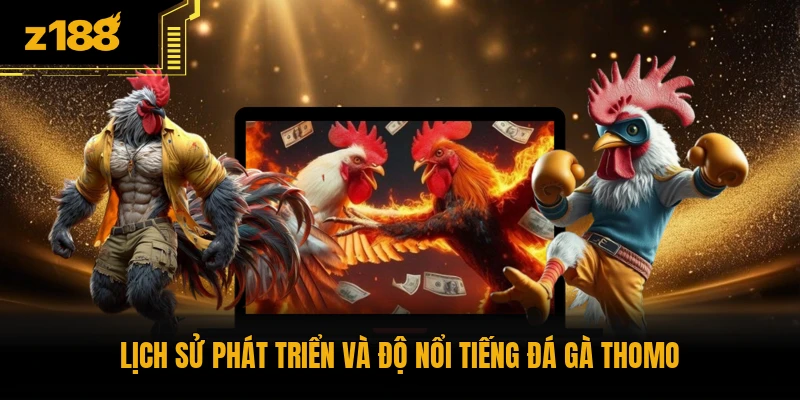 Lịch sử phát triển và độ nổi tiếng đá gà Thomo